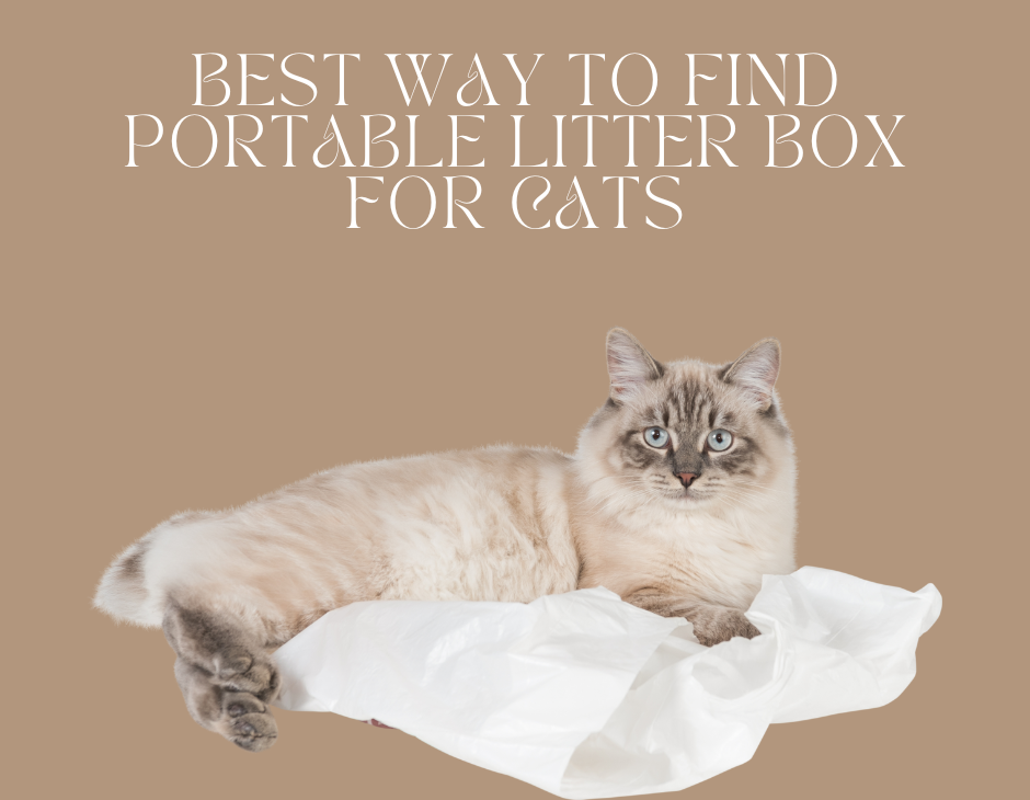 Portable Litter Box for Cats