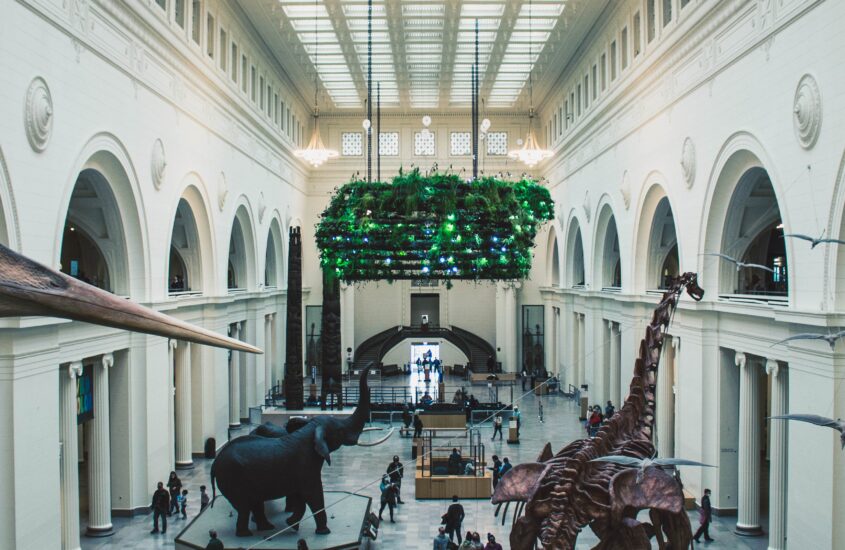 Museums Can Use Indoor Navigation to Improve Visibility