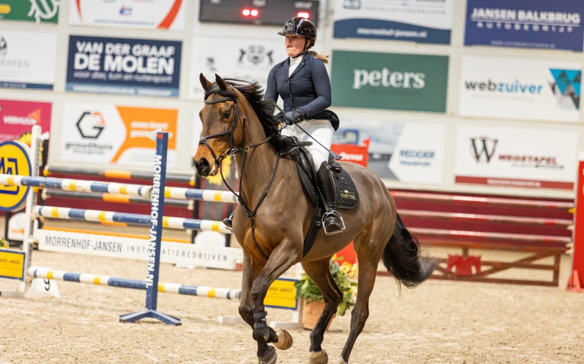 Equestrian Services