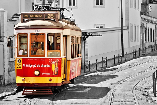 Portuguese Citizenship