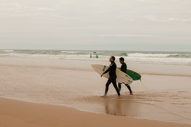 Portugal Surf